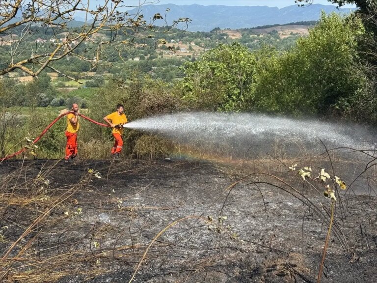 bartinda aniz yangini kontrol altina alindi M52RTLTd