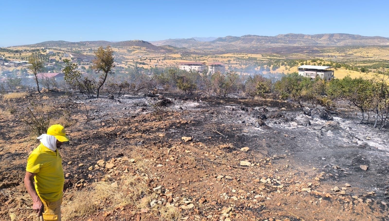 diyarbakirda orman yangini mudahale suruyor cjudNzcb