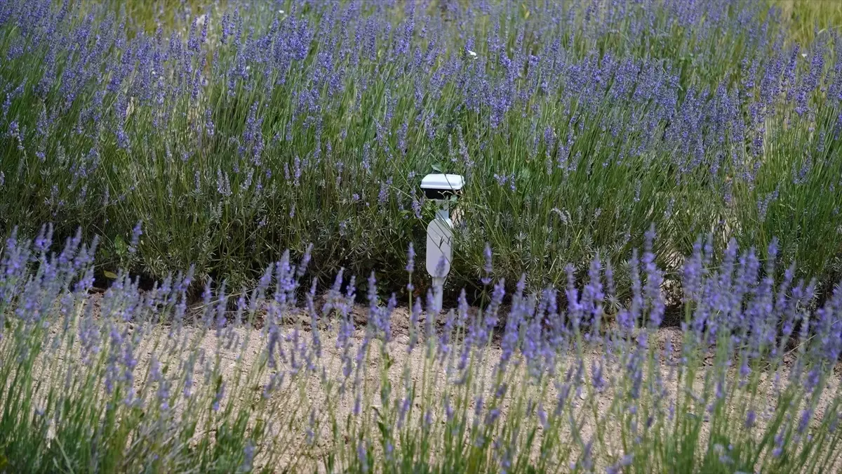 turkiyede ilk leo uydu iletisim yetkilendirmesi tSeiMN5i