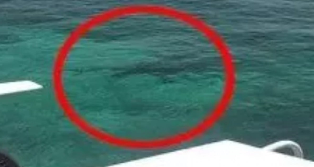 sadece 55 gun ayakta kalan ulke pasaportu bile vardi DAhkw3IC