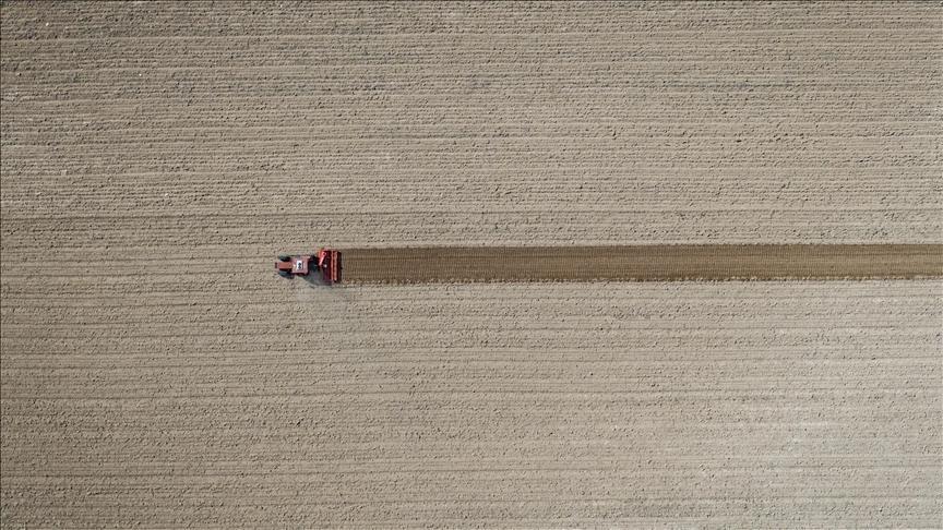 tarim ufe eylulde artti g6QDZjCX.jpg