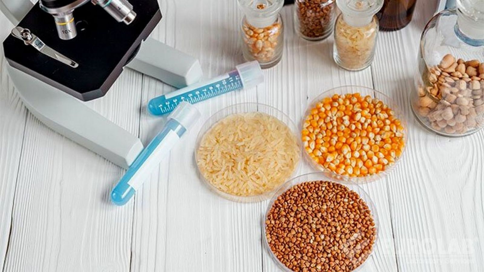 tmr ve kaba yemlerde yem analizi makinesi avantajlari emRRJNTB