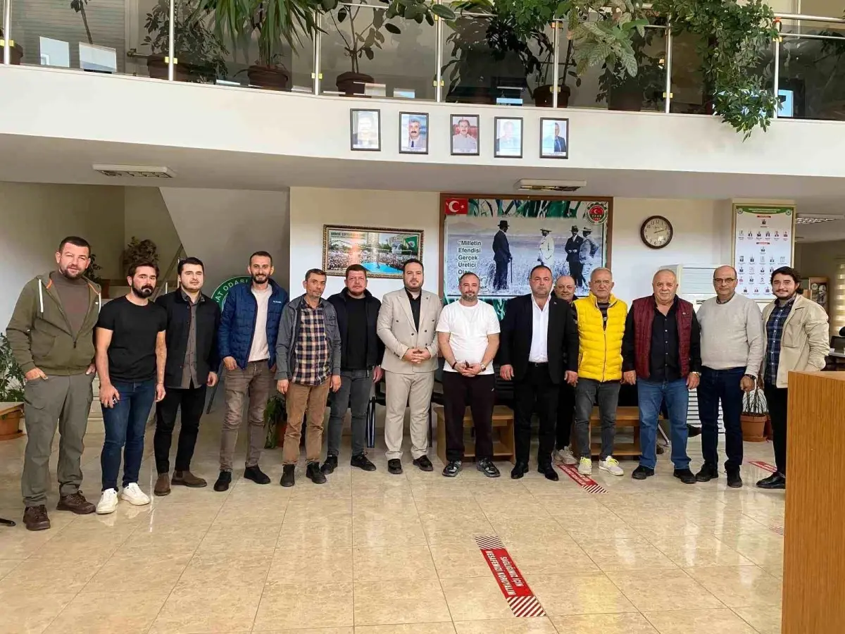 zeytin maliyeti belirlendi jfwFKl8b.jpg