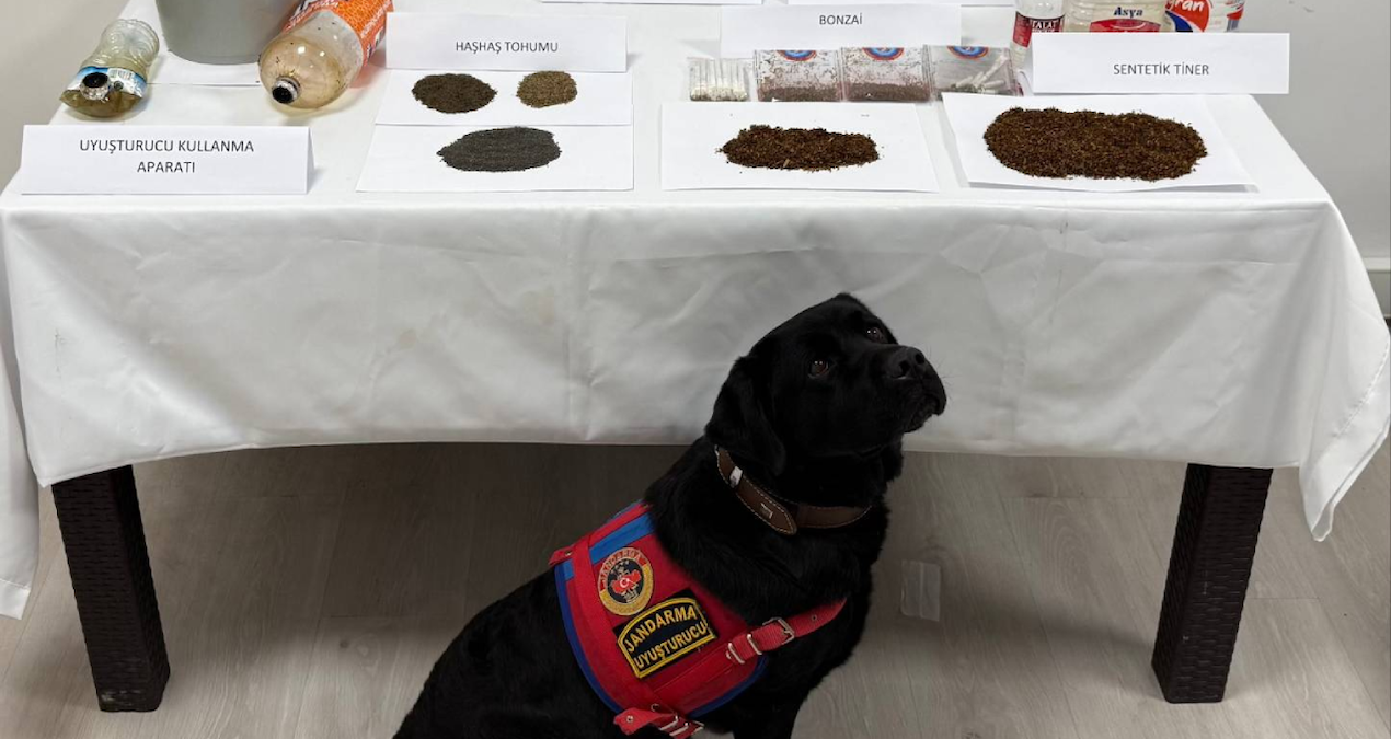 Tokat’ta Uyuşturucu Operasyonu: 8 Kişi Gözaltında