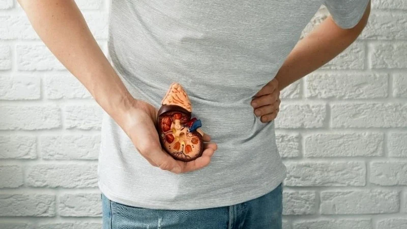 Yetersiz Su Tüketimi Böbrek Taşı Riskini Artırıyor
