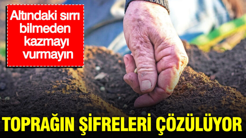 Topragin sifreleri cozuluyor baltayi vurmadan once kararinizi gozden gecirin LqrNpmbK